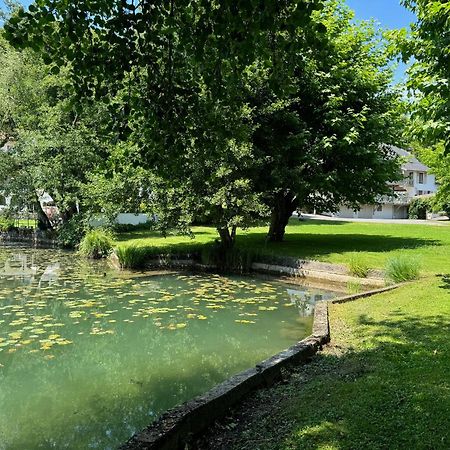 Les Lodges Du Lac Saint-Alban-de-Montbel Экстерьер фото